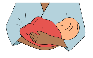 Illustration Four of how to hold a baby