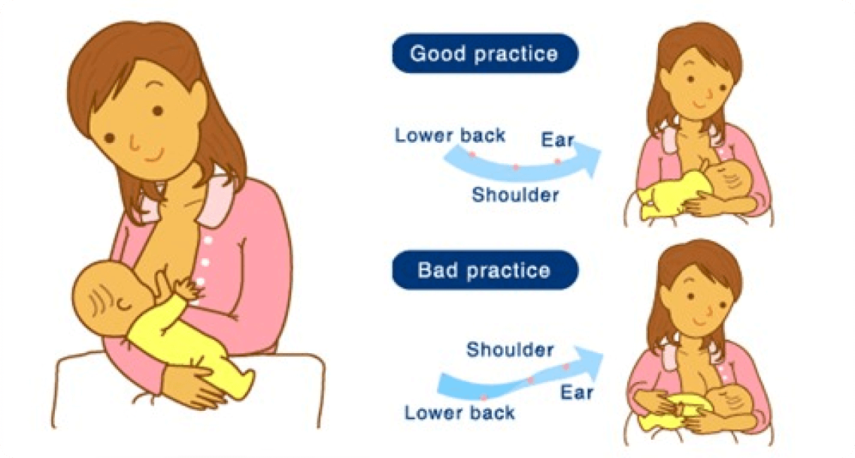 Illustration of how to hold a baby