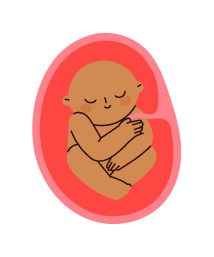 Foetus - month 7