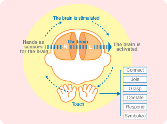 Illustration of a baby's brain development process